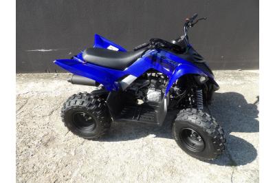 YAMAHA YFM RAPTOR 110